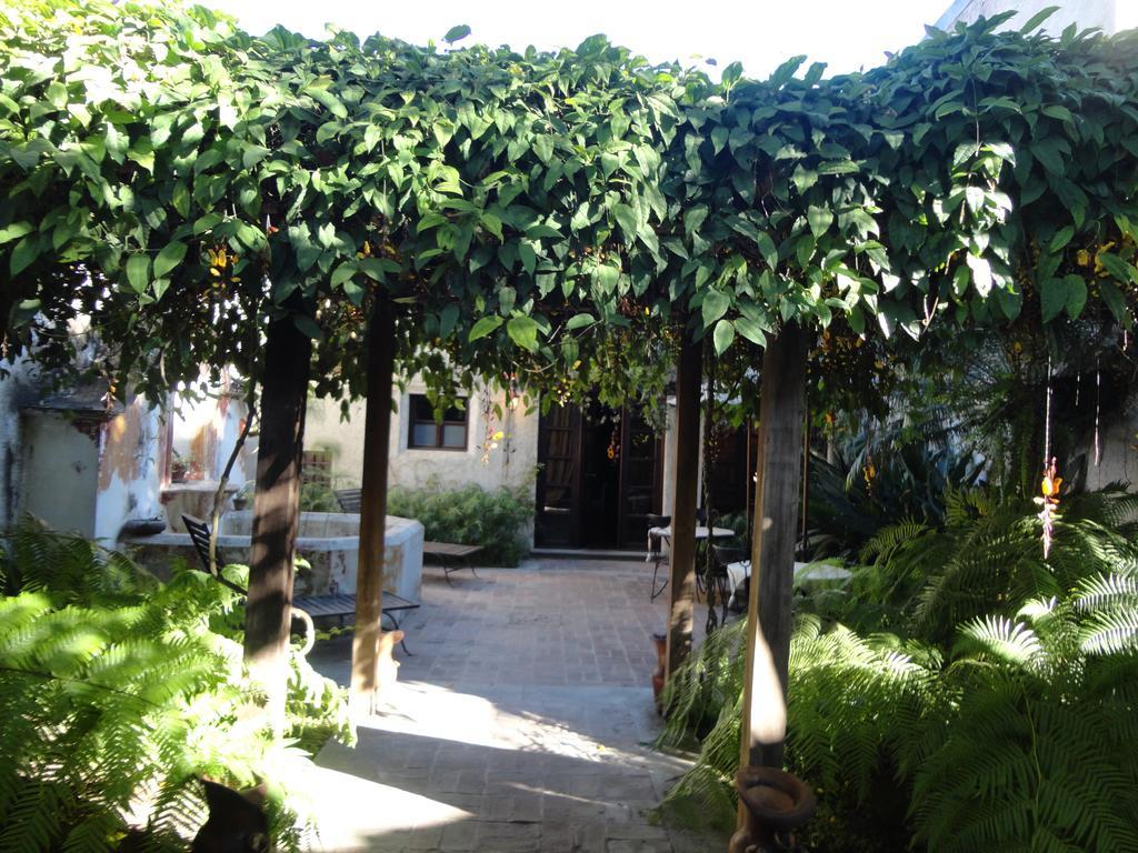 Cissus Boutique (adults Only)