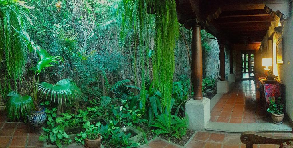 Cissus Boutique (adults Only) Apartahotel Antigua