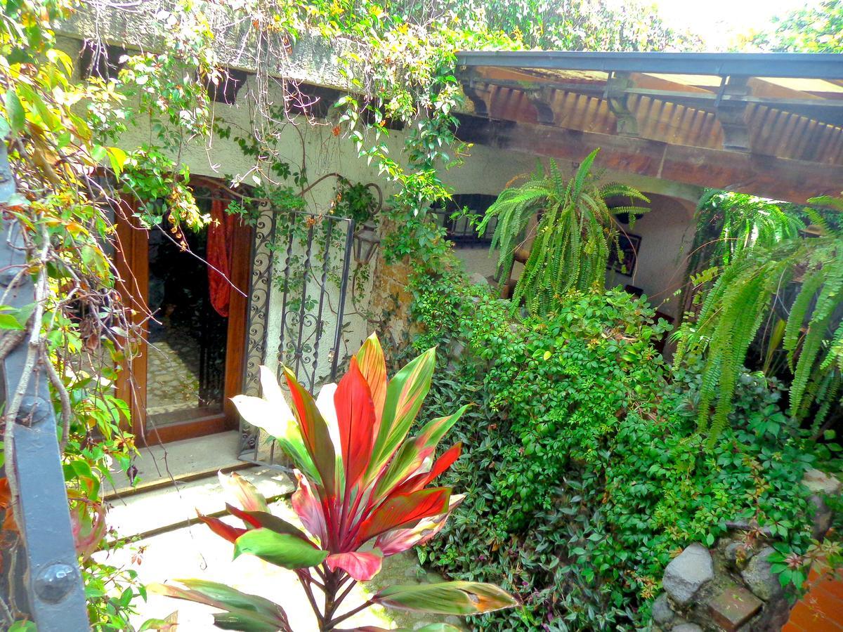 Cissus Boutique (adults Only) Apartahotel
