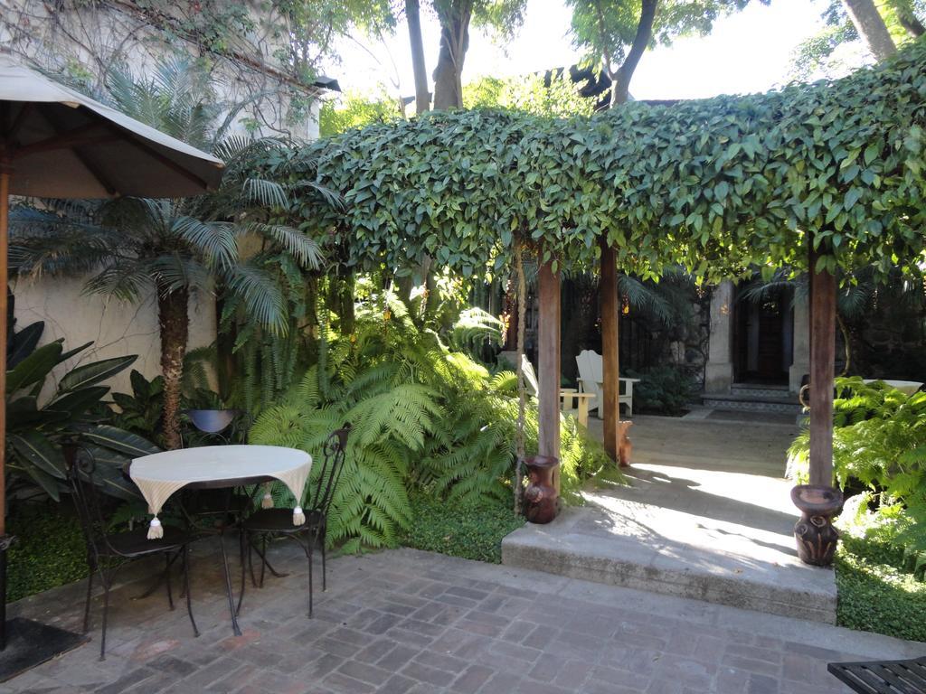 Cissus Boutique (adults Only) Aparthotel Antigua