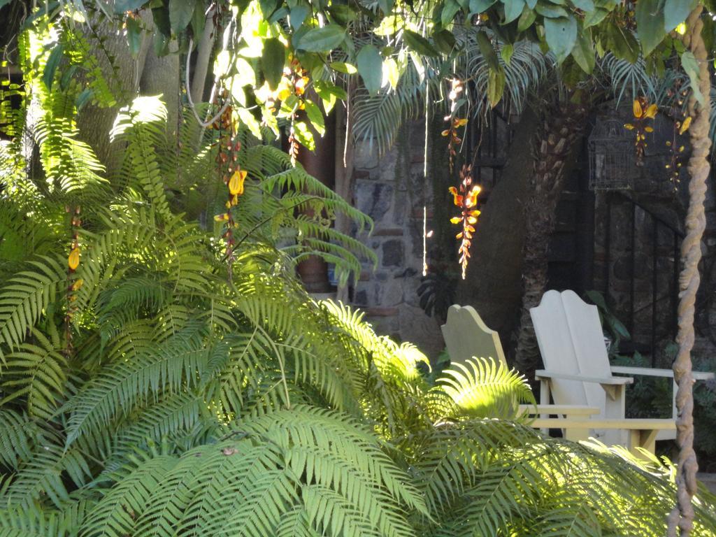 Aparthotel Cissus Boutique (adults Only) Antigua