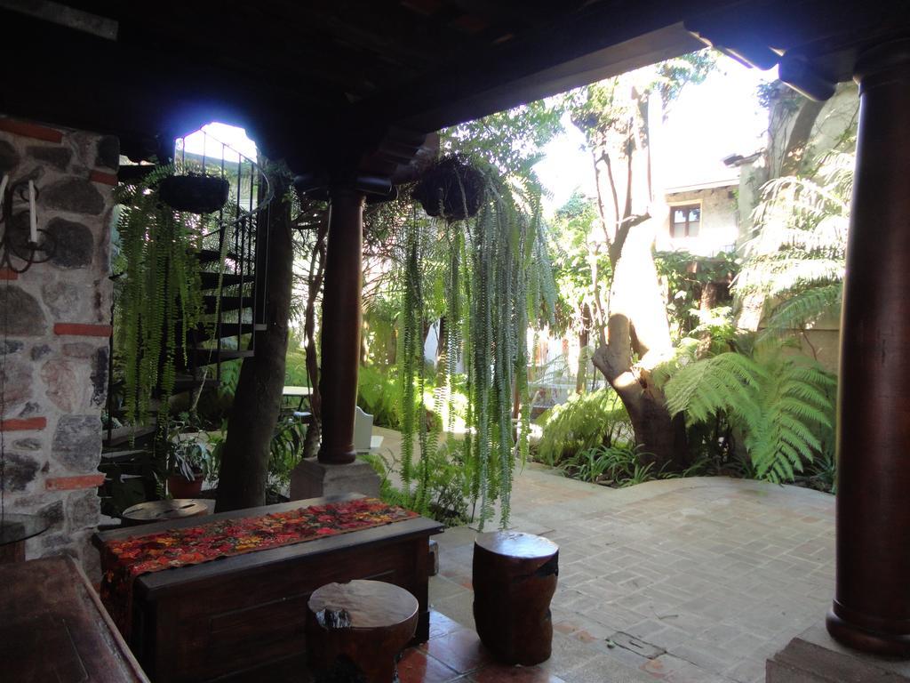 Cissus Boutique (adults Only)